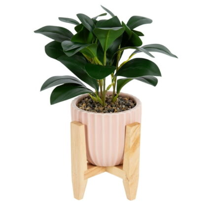 Better Homes & Gardens 11Artificial Peperomia Plant in Pink Ribbed Ceramic Pot With Wooden Stand