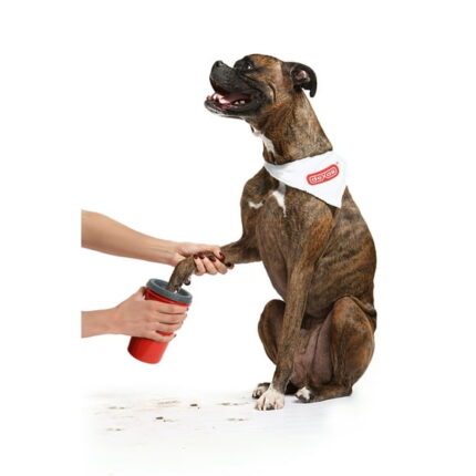 Dexas MudBuster Pet Paw Washer for Dogs - Soft Rubber Bristles Inside