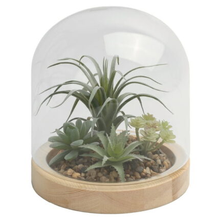 Home Decor Collection Glass Enclosed Faux Succulent 9.84" Terrarium Indoor Table Top Dcor