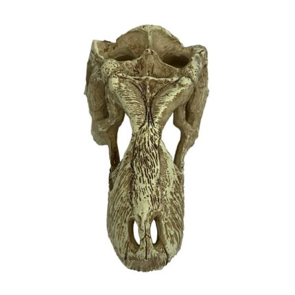 Komodo T-Rex Skull Decor for Aquarium or Reptile Tank, Polyresin Material, Bone Color, Size Large