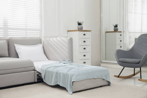 Convertible Sleeper Chair